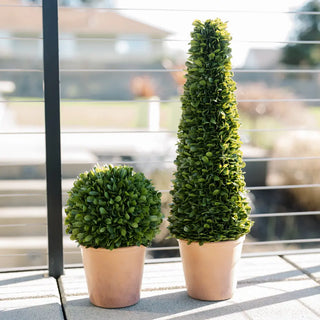 Two potted topiary plants on a reflective surface with a blurred outdoor background