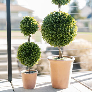 Three potted topiary trees on a patio with a blurred background