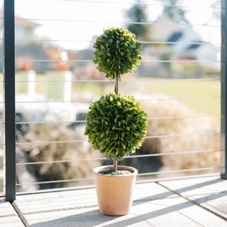 Two-tiered green topiary in a pot on a balcony with a blurred outdoor background