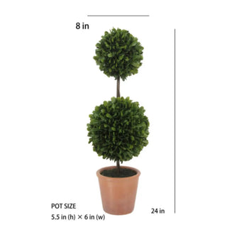 Potted plant with measurements on a white background