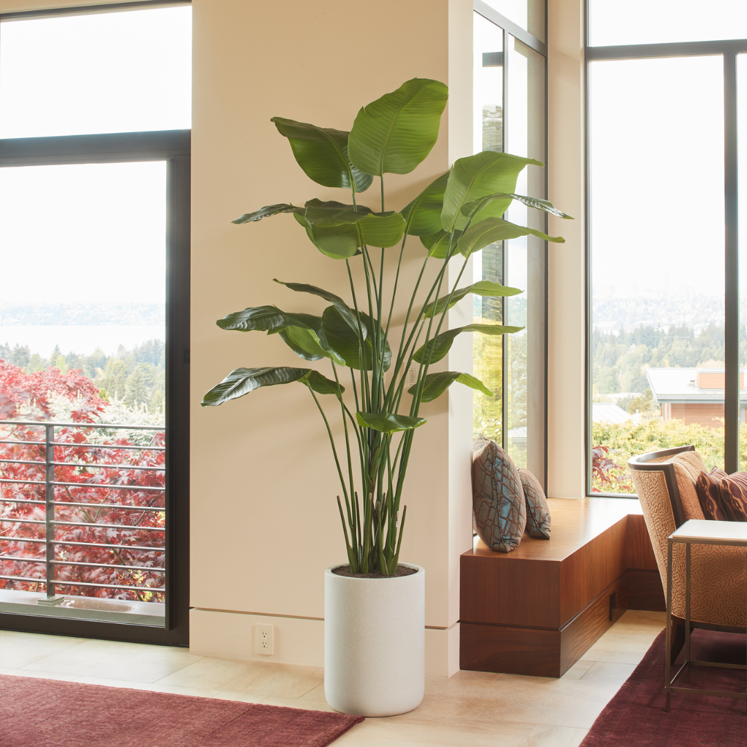 large artificial house plants living room 8FT Bird of Paradise Tree, Potted CG Hunter