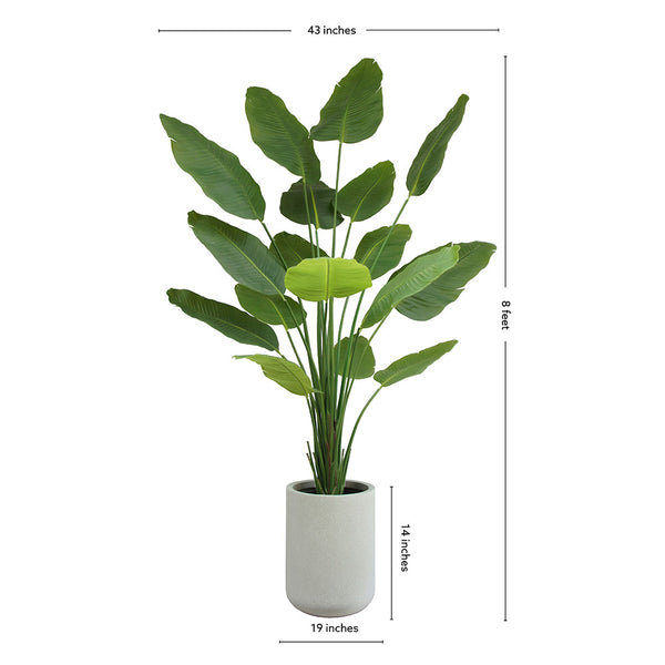 8' Bird of Paradise Tree in Modern Gray Planter