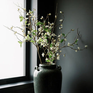 Vase with white flowers and green leaves against a dark wall