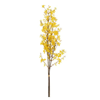 Harvest Flourish