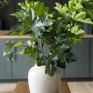 Green leafy plant in a white vase on a wooden surface with a blurred background