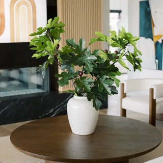 Potted plant on a wooden table in a living room setting
