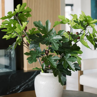 Potted plant with green leaves and small fruits in a white vase on a table.