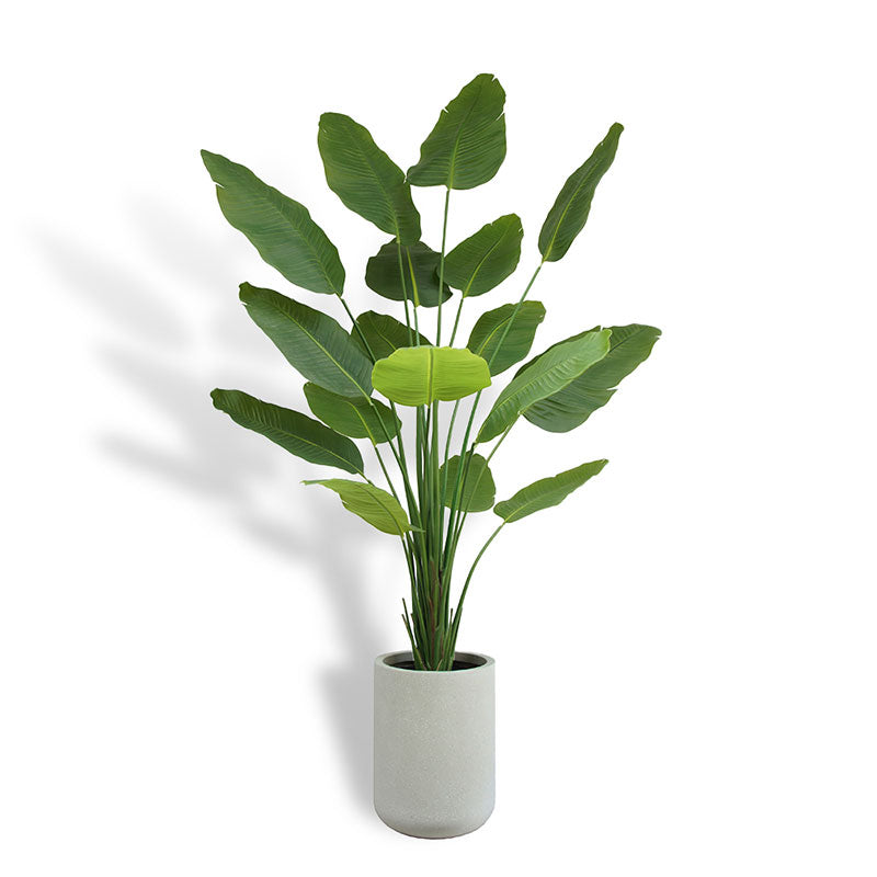 house plant paradise Bird of Paradise & Monstera – Lifelike Tropical Duo – CG Hunter