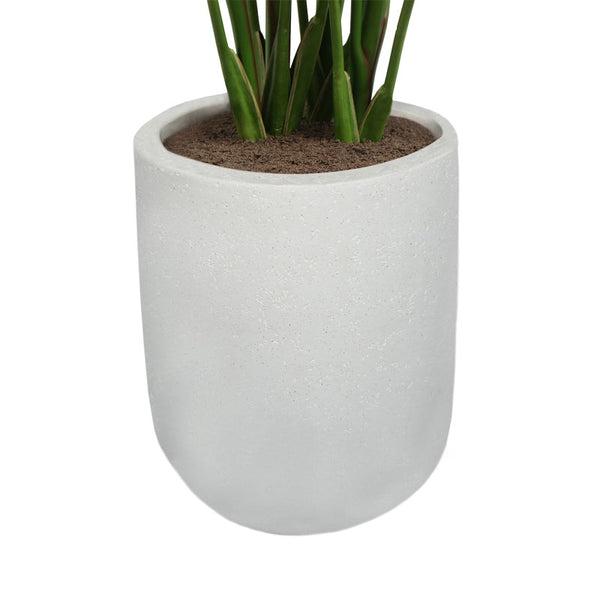 8' Bird of Paradise Tree in Modern Gray Planter