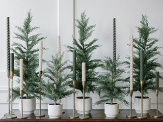 A luxurious arrangement of five 36" Cedar Trees by CG Hunter showcased with elegant candlesticks, creating a stunning centerpiece for festive gatherings.