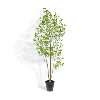 Luxurious 7' Artificial Heart Ficus Tree by CG Hunter, showcasing lifelike leaves and elegant branches in a stylish pot, perfect for enhancing any space.