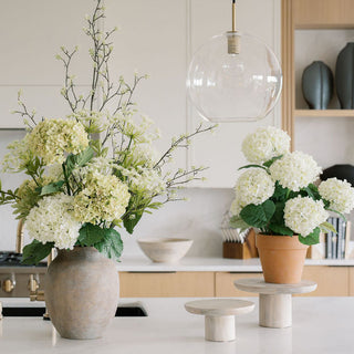 Hydrangea Steams in artisan vase and traditional planter in modern kitchen 