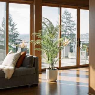 Living room with a sofa, plant, and large windows