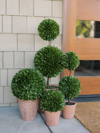 Set of potted topiary plants in front of a tiled wall.