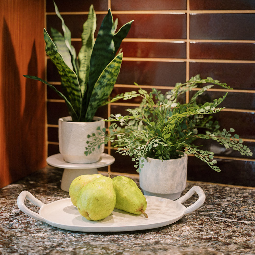 arrangement with snake plant and fern 16" Faux Snake Plant & Fern Set