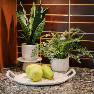 Stylish arrangement of CG Hunter's 16" faux snake plant and fern set, beautifully displayed on a kitchen countertop with fresh pears, showcasing modern decor.