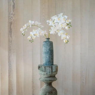 Cascading Orchid Composition