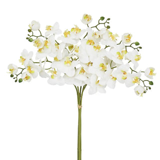 Cascading Orchid Composition