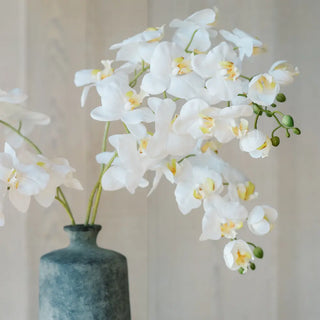 Cascading Orchid Composition