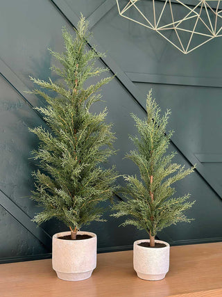 Charming duo of 24" Artificial Evergreen Cedar Trees by CG Hunter in textured cream pots, perfect for a refined home ambiance.