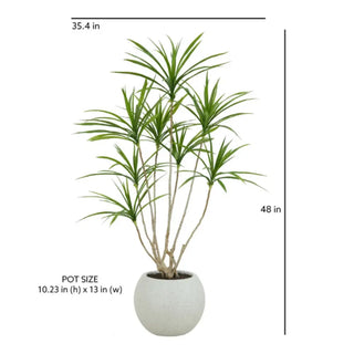 Potted plant with dimensions labeled on a white background