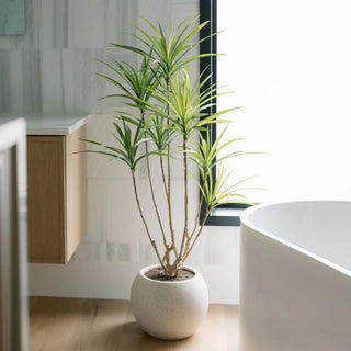 Potted plant in a modern bathroom setting with a bathtub and wooden cabinet.