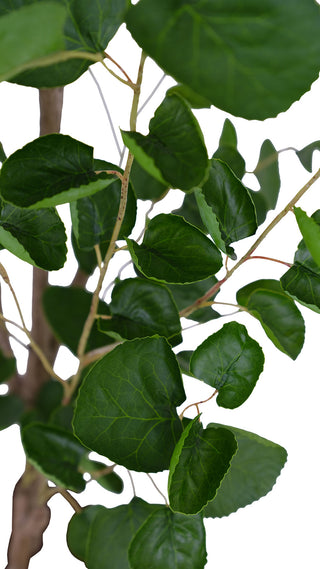 Detailed look at the vibrant leaves of the CG Hunter 4' Faux Potted Eucalyptus Tree, emphasizing its natural appearance and quality.