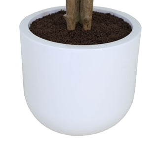Stylish white pot housing the CG Hunter 4' Faux Potted Eucalyptus Tree, designed to enhance modern interior decor effortlessly.