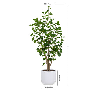 CG Hunter 4' Faux Potted Eucalyptus Tree, measuring 4 feet tall, featuring vibrant green eucalyptus leaves in a chic white pot, perfect for enhancing indoor decor.