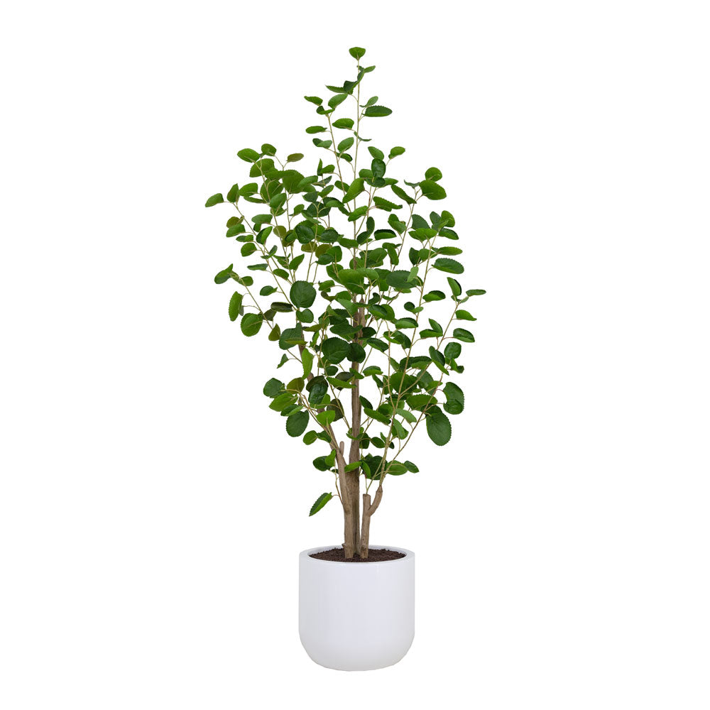potted indoor eucalyptus plant Faux Potted Eucalyptus Tree, 4 ft