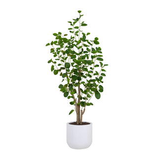 CG Hunter 4' Faux Potted Eucalyptus Tree in chic white pot, showcasing lifelike silvery-green leaves, perfect for enhancing modern, farmhouse, or minimalist home decor.