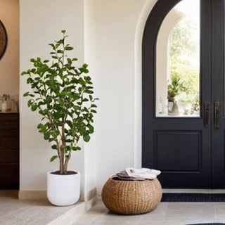 Elegant CG Hunter 4' Faux Potted Eucalyptus Tree positioned near a stylish entryway, showcasing lush green foliage and a contemporary design that adds a touch of sophistication to home interiors.