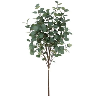 Eucalyptus, Layered in Ivory