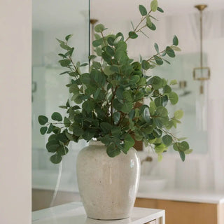 Eucalyptus, Layered in Ivory