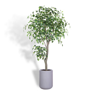 Luxury Commercial Artificial Ficus Tree by CG Hunter, elegantly displayed in a minimalist grey planter, showcasing realistic foliage.