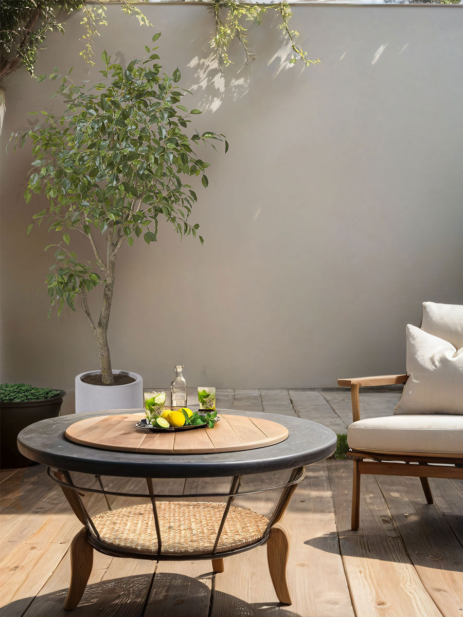 CG Hunter Commercial Ficus Tree