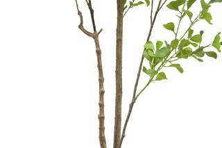 Close-up of the trunk and branches of CG Hunter's 7' Artificial Heart Ficus Tree, showcasing realistic texture and lifelike details for elegant home decor.