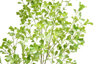 Close-up of the detailed leaves of the 7' Artificial Heart Ficus Tree by CG Hunter, highlighting the realistic design and vibrant colors, ideal for sophisticated interiors.