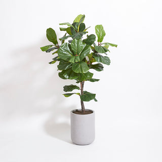 Stunning display of an artificial Fiddle Leaf Fig Tree with Artisan Planter by CG Hunter, emphasizing its tall stature and realistic foliage.