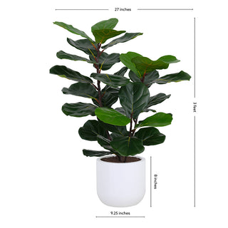 Dimensions and specifications of CG Hunter 3' Faux Potted Fiddle Leaf Fig Tree, showcasing its chic design and ideal size for elegant decor.