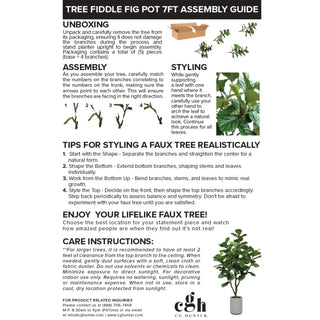 Tree fiddle fig pot 7ft assembly guide with text and images of a plant.