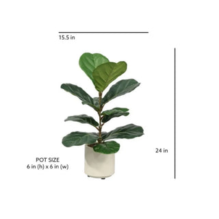 2' Artificial Fiddle Leaf Fig Trees in Pots
