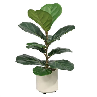 2' Artificial Fiddle Leaf Fig Trees in Pots