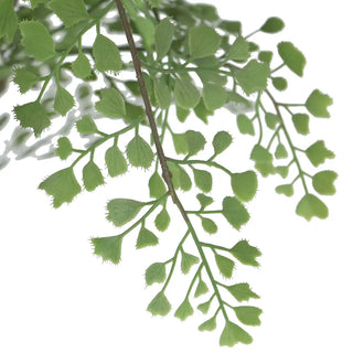 Close-up of faux maidenhair fern's small fan-shaped leaves