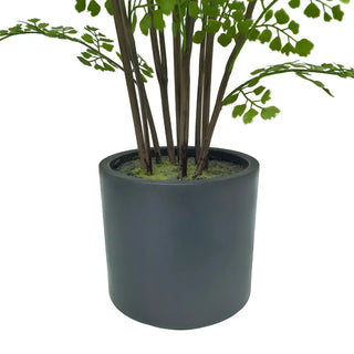 Close-up of dark matte pot with moss at base of faux maidenhair fern