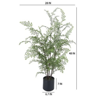 Faux maidenhair fern size guide showing 48 inch height and 28 inch width