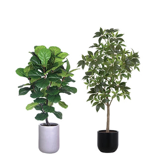 Artificial Fiddle Leaf Fig Tree and Money Tree