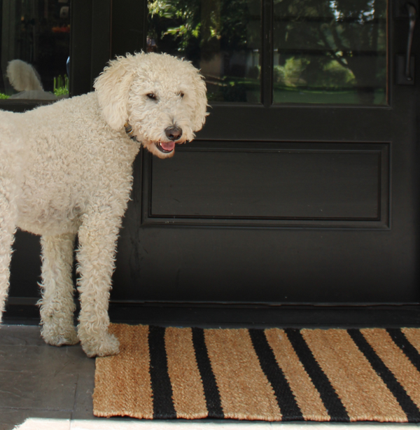 Front porch handmade cghunter rug with puppy