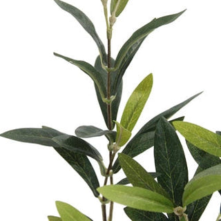 Close-up of a branch with green leaves on a white background