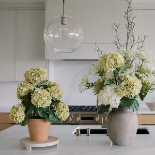Decorative plants on a kitchen counter with a modern kitchen background